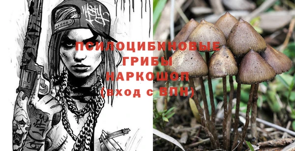 каннабис Белокуриха